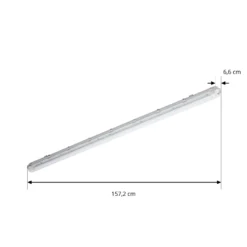 Prios Feuchtraumleuchte Lior, 157 cm, 1 x T8, G13, IP65, 18W