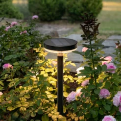 Prios Glenios LED-Solarlampe mit Erdspieß
