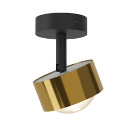 Puk! 80 Turn Up/Downlight Linse matt gold/schwarz