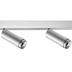 Ribag Vertico Deckenspot zweiflammig 3.000K alu