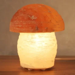 Salzleuchte Pilz