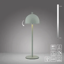 SCHÖNER WOHNEN LED-Akku-Tischlampe Bellies Frühlingserwachen