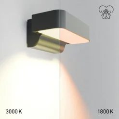 STEINEL LED-Sensor-Außenwandleuchte L 800 SC, anthrazit IP44