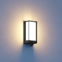 STEINEL Smart Sensor-Außenwandlampe L42 SC anthrazit