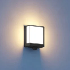 STEINEL Smart Sensor-Außenwandlampe L40 SC anthrazit