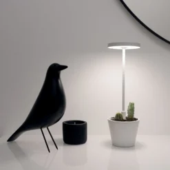 Zafferano Poldina Reverso Akku-Tischlampe weiß